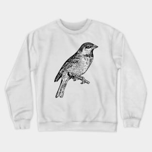 Bird Sparrow Hand Drawn Crewneck Sweatshirt